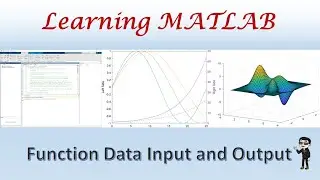 MATLAB Function Data Transfer