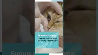 Санация носослёзного канала