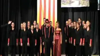 JIHAV KOZAK - Ukrajinska narodna pesma