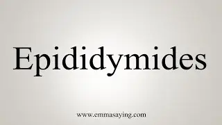 How To Say Epididymides