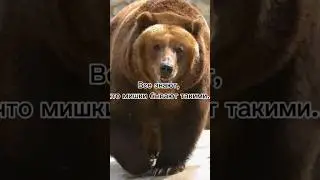 Как вам?✨ 