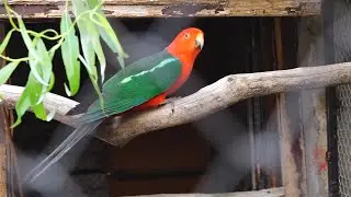 Mini ZOO vrt u Bariču