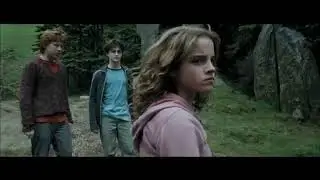 The most satisfying moment of Harry Potter saga (Edited)