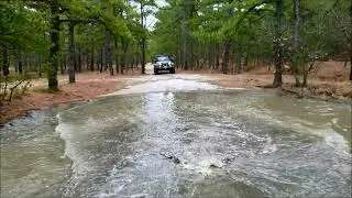 Jeep in the forest - view from car in front