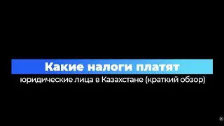 Какие налоги платят юридические лица в Казахстане краткий обзор