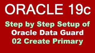 Oracle 19c DataGuard Step by Step Setup 02 Create Primary - OLD Video NEW Version Available