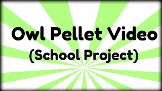Owl Pellet Video (School Project)