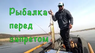 Гайдинг с подписчиком. Весенняя рыбалка на реке.