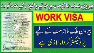 Protector Passport Pakistan || Work Visa || Benefits of Protector