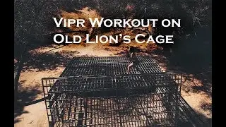 7 Dynamic Exercises with Vipr (Vitality, Performance, Reconditioning)