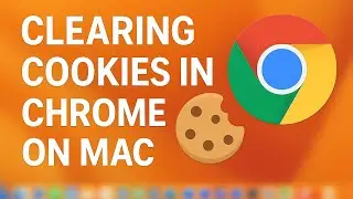 How To Clear Cookies in Chrome on Mac