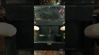 Visor estéreo plegable