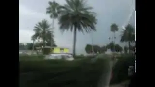 Summma Tampa Trip