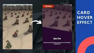 Card Hover Effects Using HTML And CSS | Web Design | HTML5 & CSS3