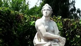 в Кусково