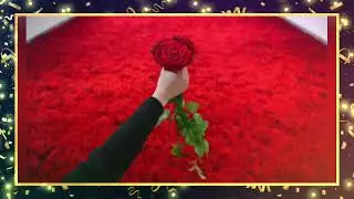 цыганская песня романо хито