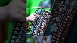 ой рябина кудрявая! на любительской гармони 3 аккорда и 300 песен или как быстро научиться играть