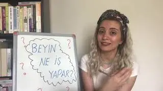 Türkçe- Beyin Ne İş Yapar?