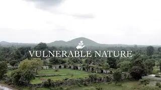 Vulnerable Nature