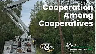 Helping South Carolina and Florida Cooperatives Reconnect After a Hurricane