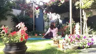 ‘Anybody can breathe | anybody can practice yoga’ | Mandook (frog) | Gaumukh(cow face)