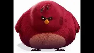 Im Da Biggest Bird 1 hour 🐦🐦🐦