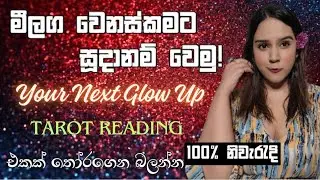 ලොකුම ලොකු වෙනස්කමක් ඉදිරියේ! ලෑස්ති වෙන්න! ✨️ Next Glow Up Tarot Reading Sinhala