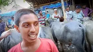 #sorarsor mohis/goro bajar#সরারচর গরু/ মহিষ বাজার #বাজিতপুর#কিশোরগঞ্জ#all_vlogs_plogs