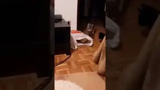 А кто это у нас тут