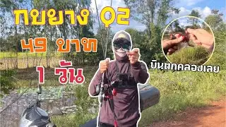 กบยาง Q2 49บาท 1 วัน