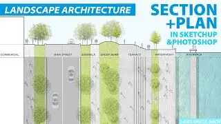 Landscape Design Section and Plan Rendering in Sketchup and Photoshop