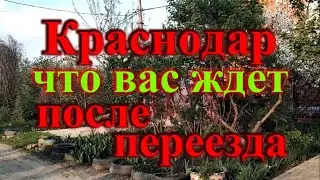 Что Вас ждет после переезда в Краснодар