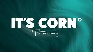 it's corn kid TikTok songs(lyrics) 