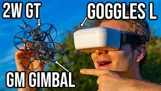 Digital Innovation! Caddx Walksnail Goggles L | Avatar GT | GM Gimbal Review