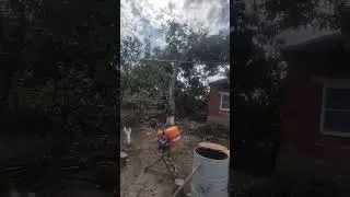 Выходные с пользой.