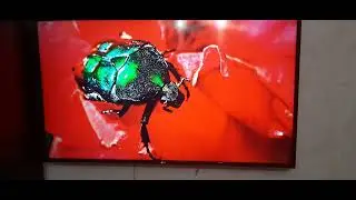 lg49uj630 4k
