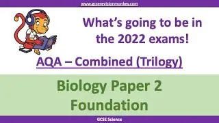 2022 Combined Biology (Foundation) Paper 2