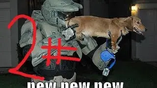 Halo Custom Editon: Warthogs = Maximum fun
