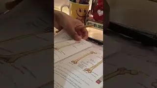#study #dailystruggle #studygram #studymotivation