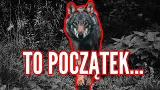Nielegalna imigracja w Polsce