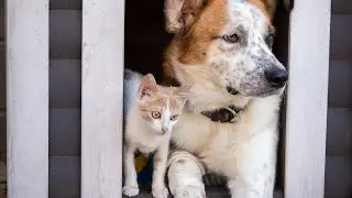 Хорошие добрые новости.