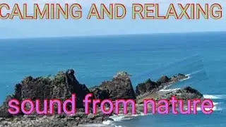BEAUTIFUL AND CALMING SOUNDS FROM NATURE