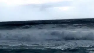 Лас пальмас