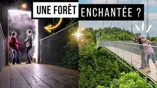 🌟On explore le Parc de la Gorge de Coaticook & Foresta Lumina | Coaticook, Québec
