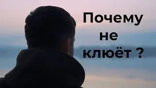 Ответ на вопрос: почему не клюёт?  Первое видео!! Ловля фидером на карьере.