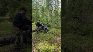 Через дерево на трицикле!