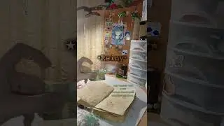 заполняем мой травник часть 2🌿хочешь в квд хаус? тогда подпишись на мой тг и попадиив хаус)) ♡