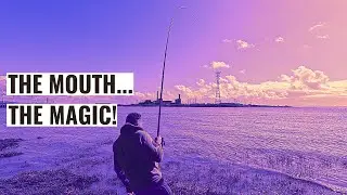 A CRACKING FISH And A Day To Remember - Sea Fishing UK