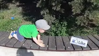 Steeplechase