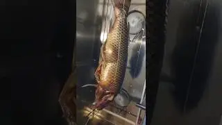 Процесс копчения от нашего клиента 🙌🏻 